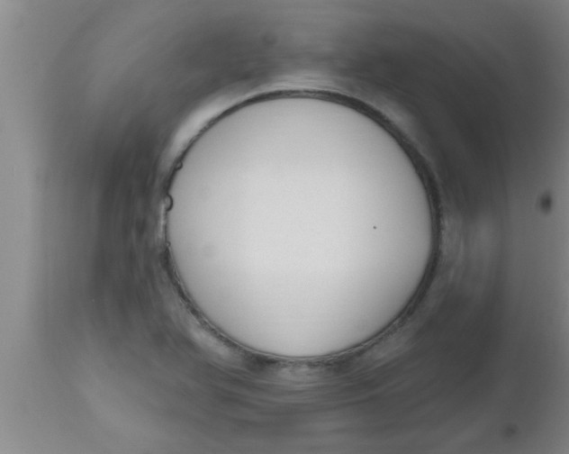 X0000112541366200909071412