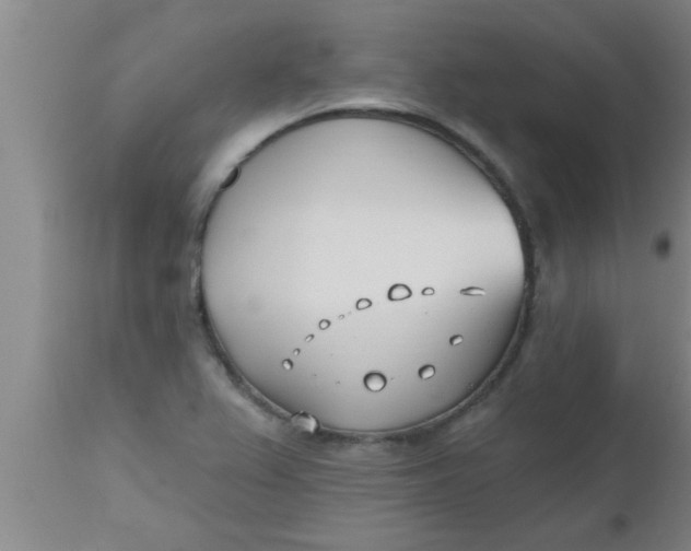 X0000112541367200909071412