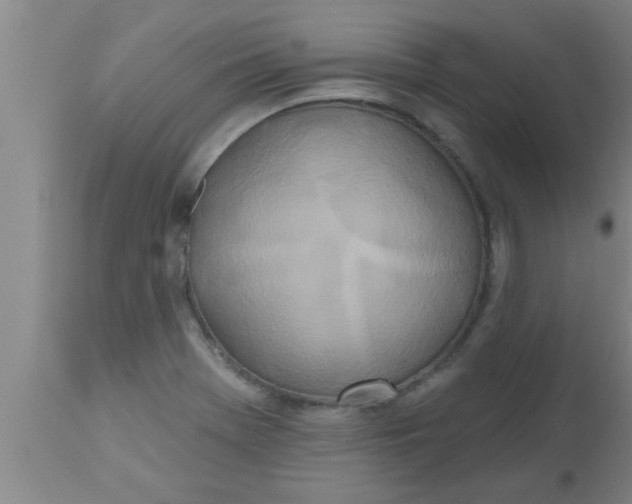 X0000112541369200909071412