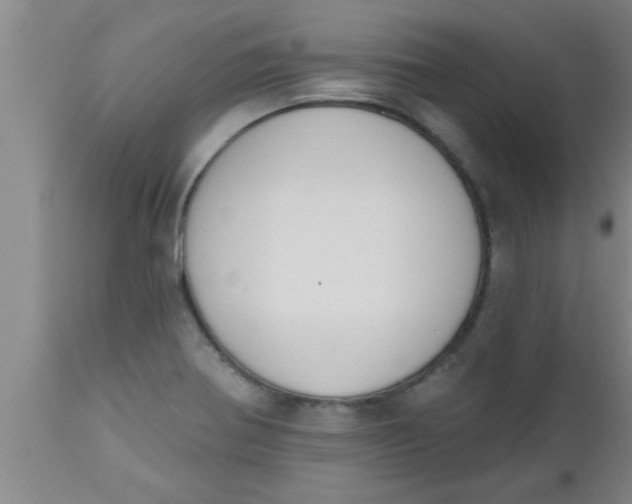 X0000112541370200909071412