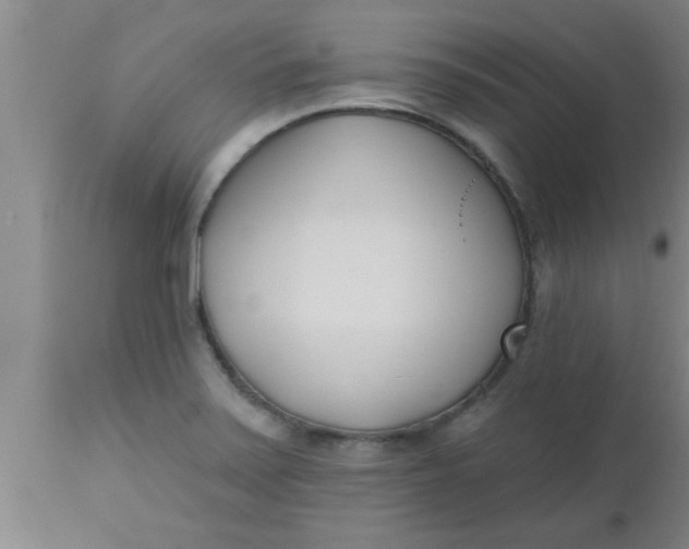 X0000112541371200909071412