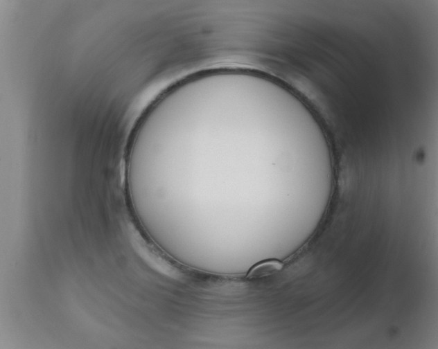 X0000112541372200909071412