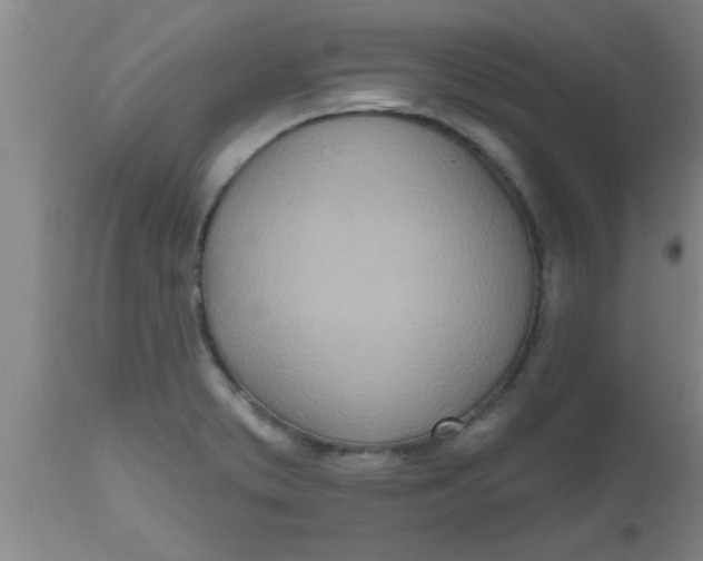 X0000112541373200909071412
