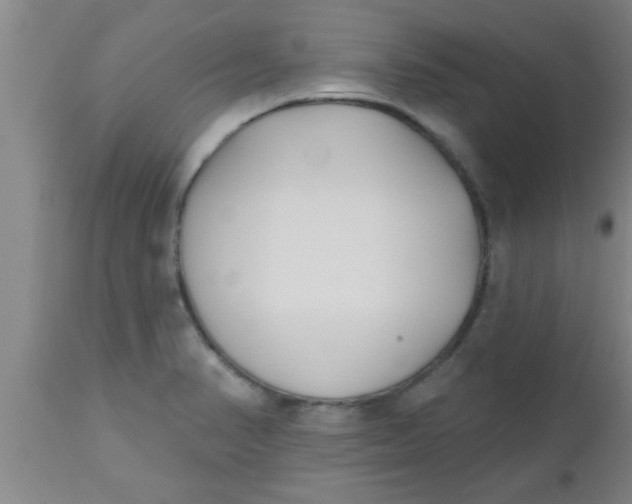X0000112541374200909071412