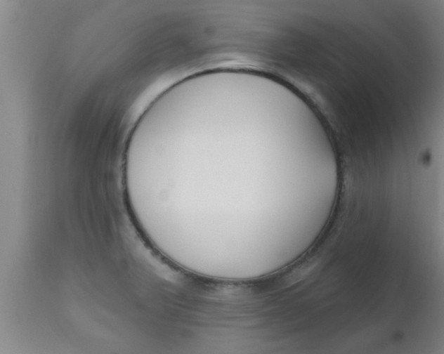 X0000112541375200909071412