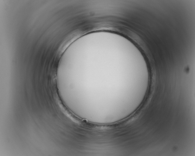 X0000112541377200909071412