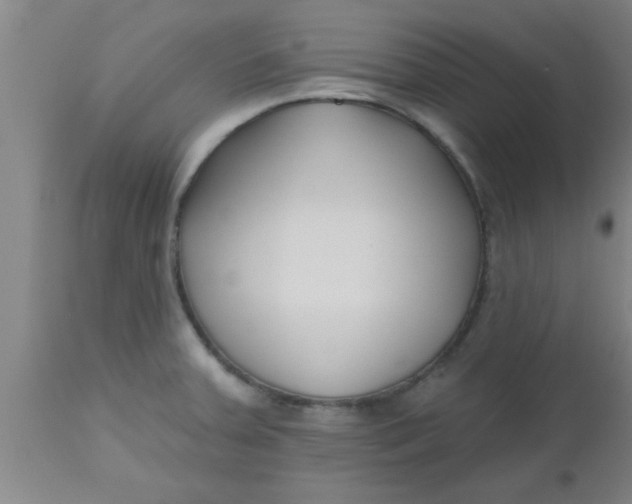 X0000112541379200909071412