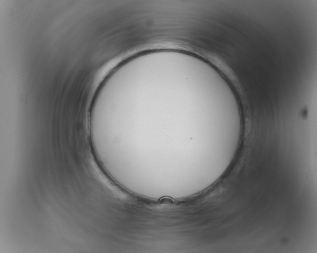 X0000112541380200909071412