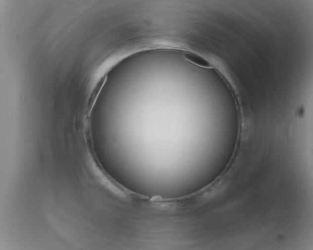 X0000112541381200909071412