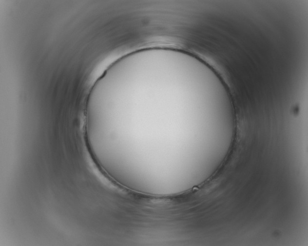 X0000112541383200909071412