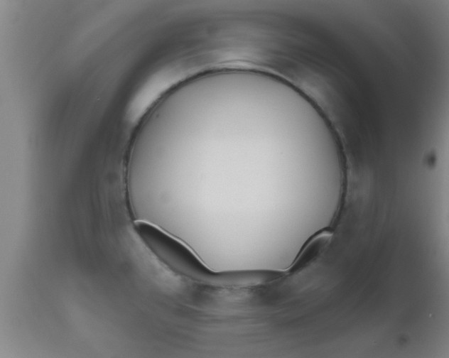 X0000112541384200909071411