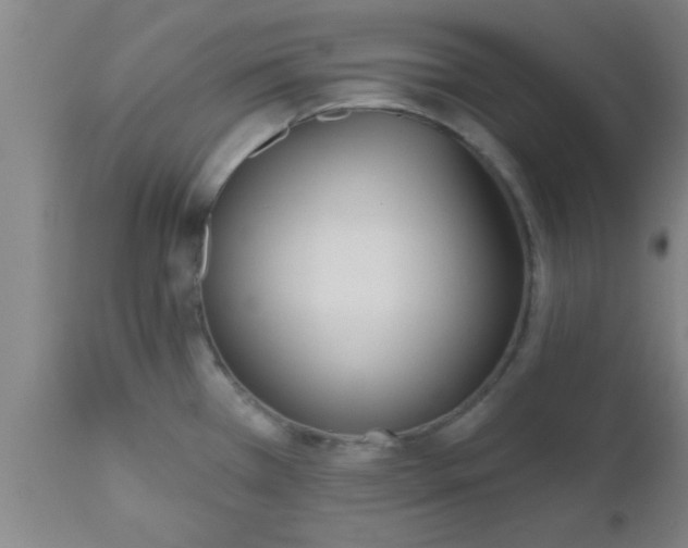 X0000112541385200909071411