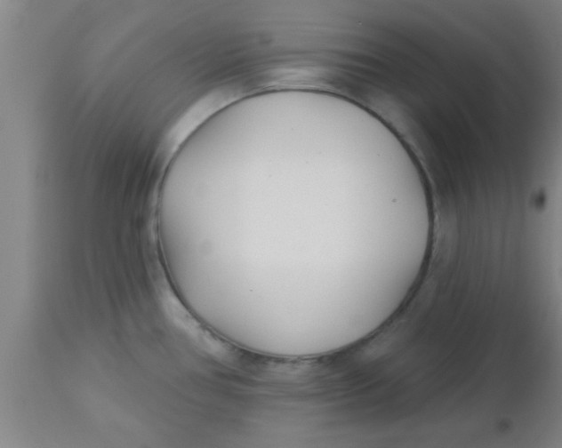 X0000112541386200909071411