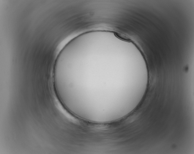X0000112541387200909071411