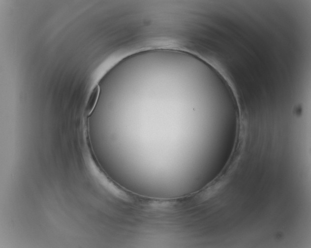 X0000112541389200909071411