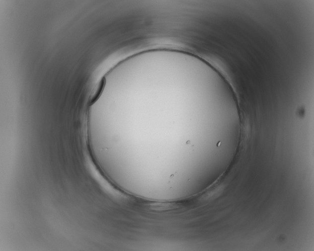 X0000112541391200909071411