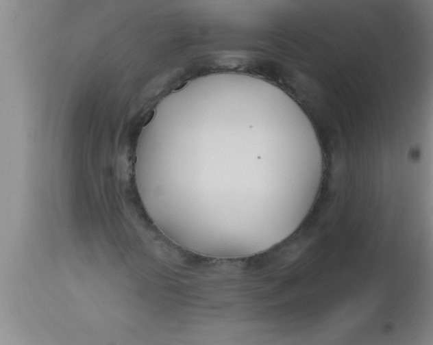 X0000112541394200909071411