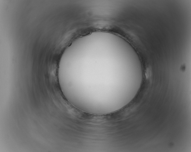 X0000112541396200909071411