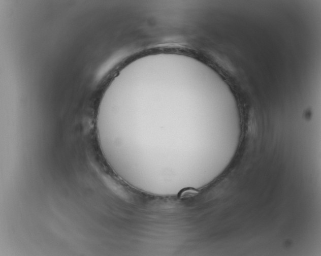 X0000112541400200909071411