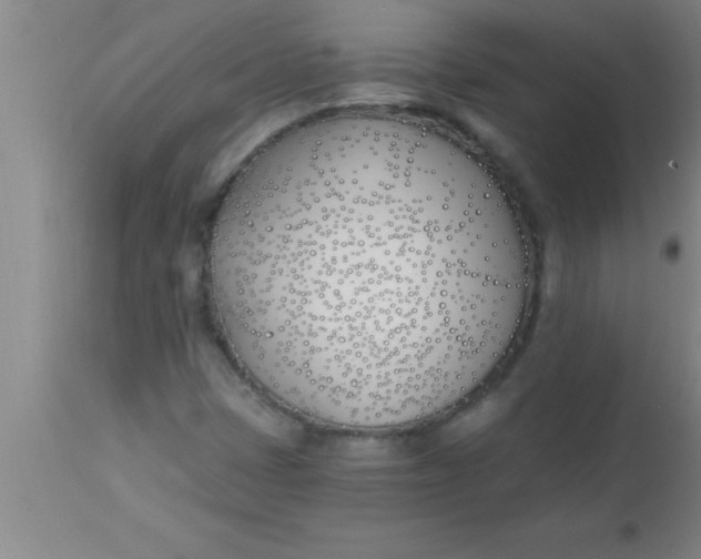 X0000112541401200909071411