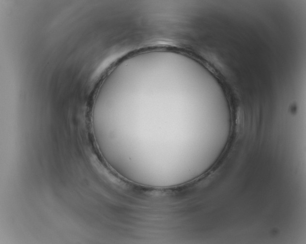 X0000112541404200909071411