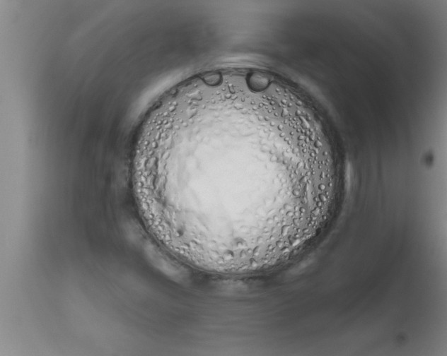X0000112541405200909071411