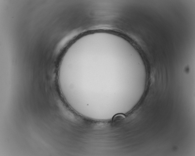 X0000112541406200909071411