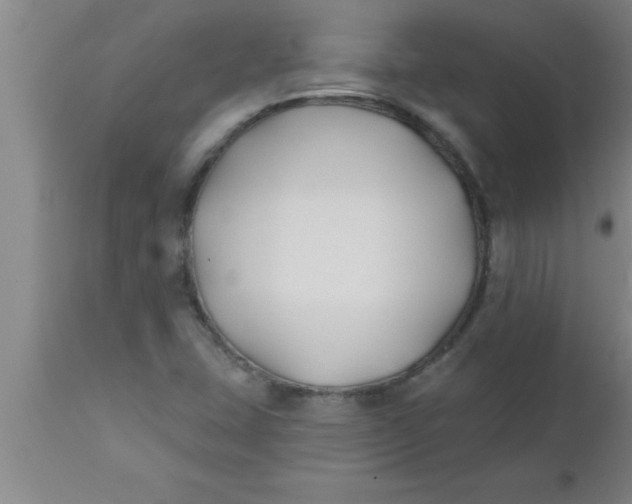 X0000112541407200909071411
