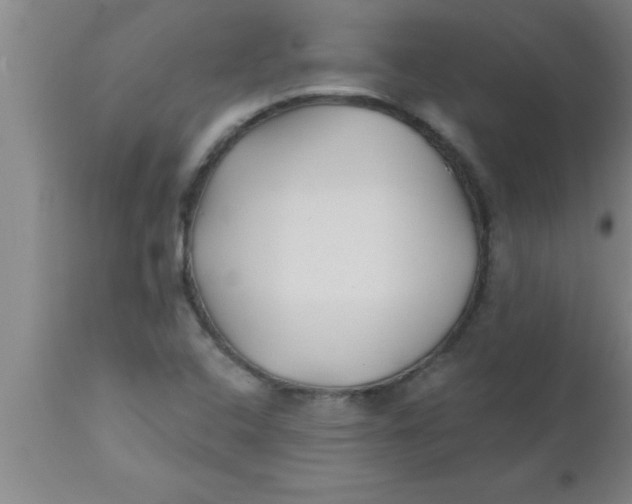 X0000112541408200909071411