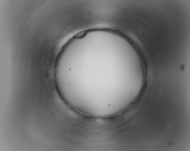 X0000112541412200909071411