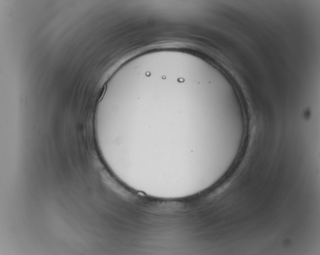 X0000112541417200909071411