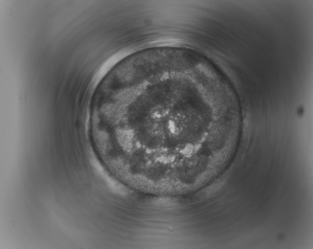 X0000112541418200909071411