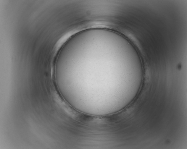 X0000112541419200909071411
