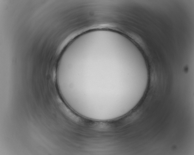 X0000112541420200909071411
