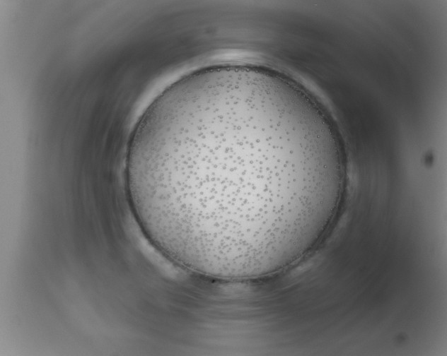 X0000112541421200909071411