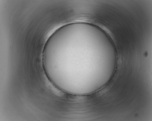 X0000112541423200909071411