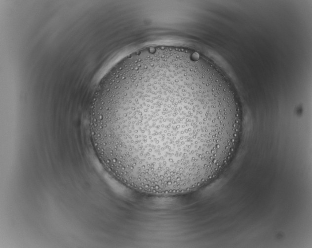 X0000112541425200909071411