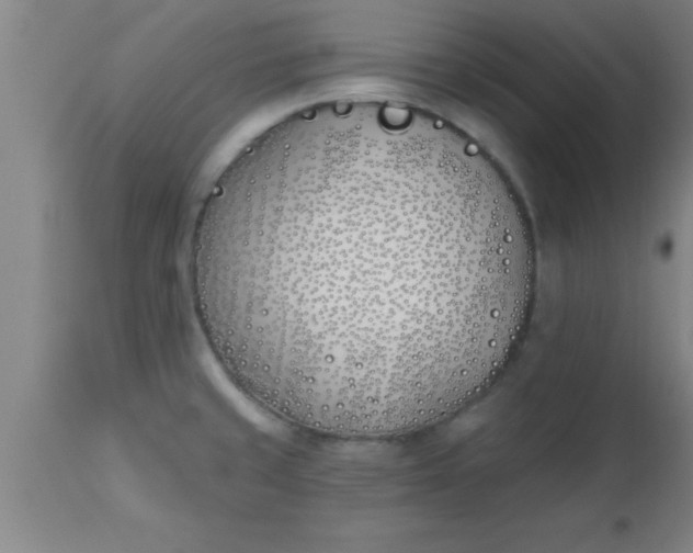 X0000112541429200909071411