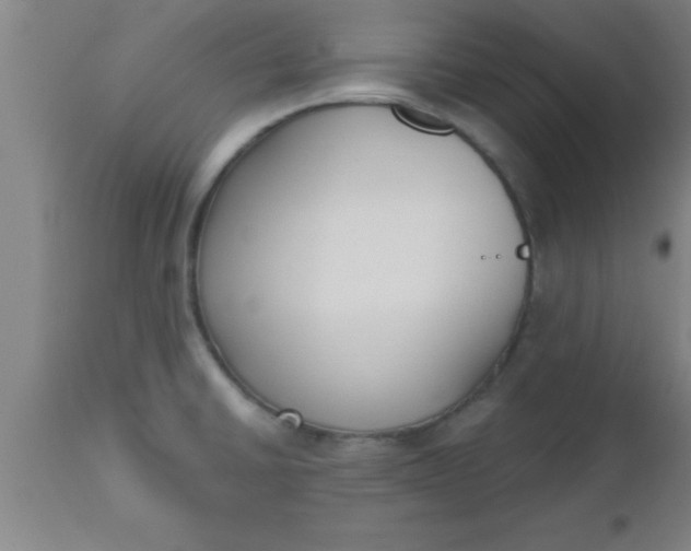 X0000112541430200909071411