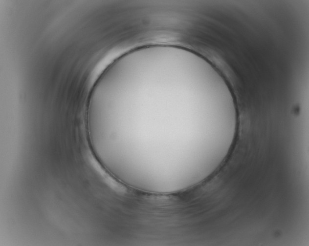 X0000112541432200909071411