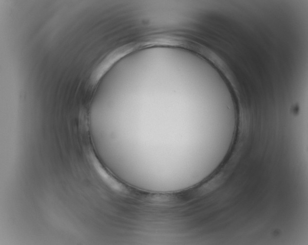 X0000112541433200909071411