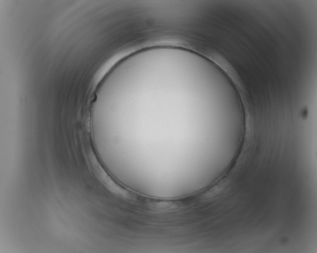 X0000112541436200909071411