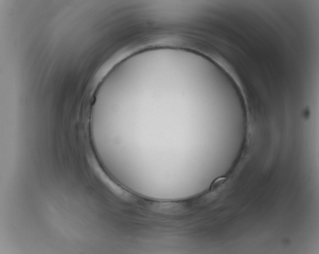 X0000112541437200909071411