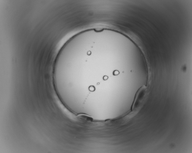 X0000112541438200909071411