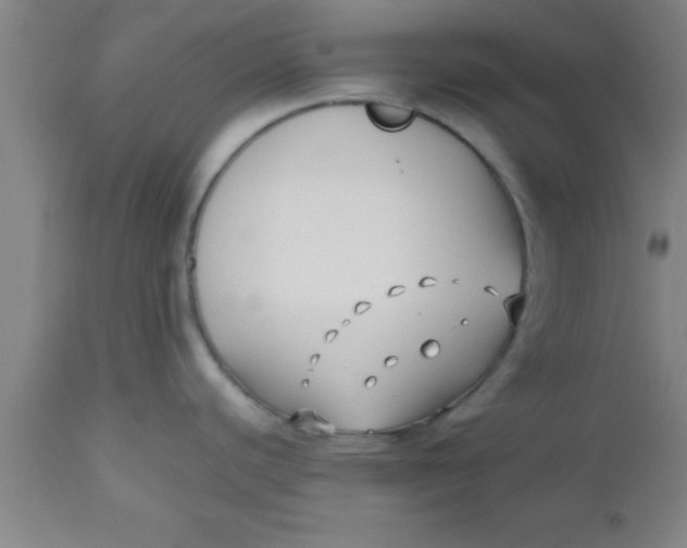 X0000112541440200909071411
