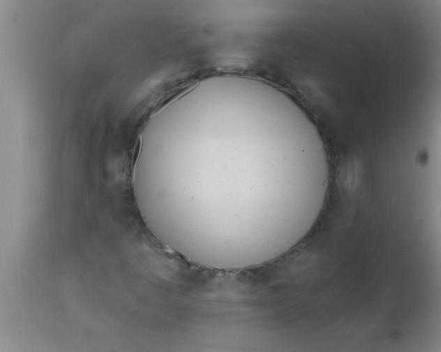 X0000112541445200909071411