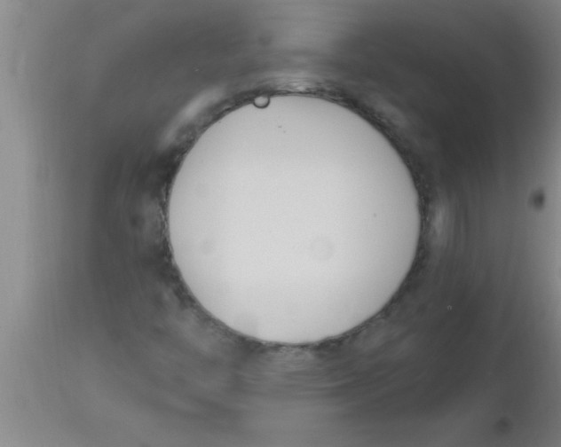 X0000112541446200909071411