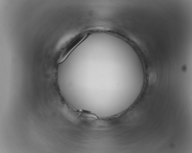 X0000112541448200909071411