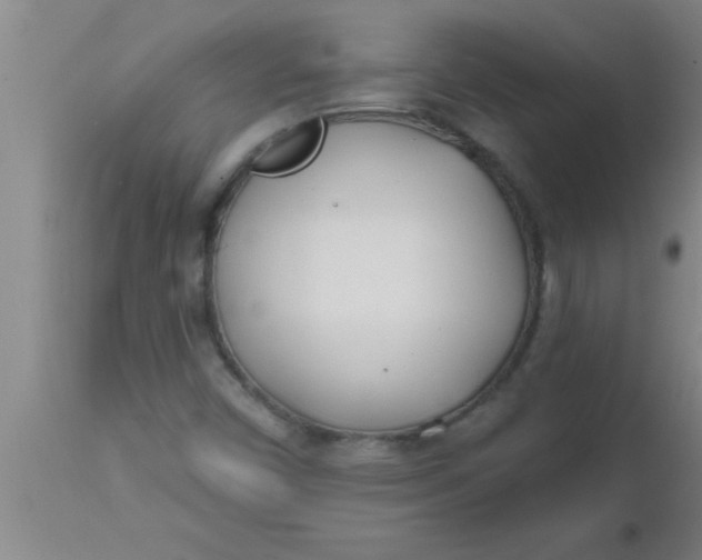 X0000112541450200909071411