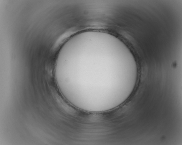 X0000112541451200909071411